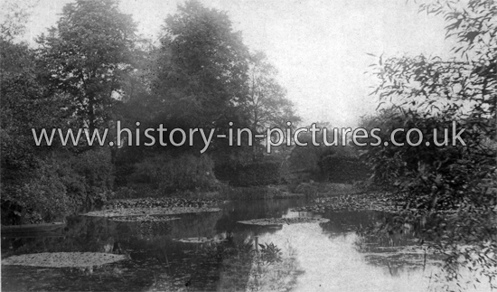 The Water Garden, Gayhurst, Buckingham. c.1919